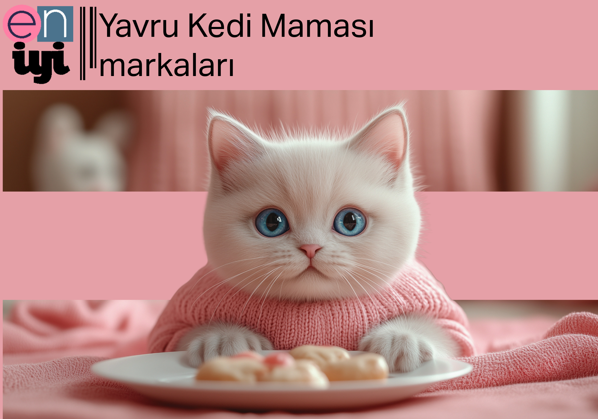 En İyi Yavru Kedi Maması Markaları